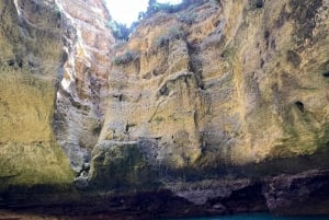 Lagoa: Benagilgrottorna och Praia da Marinha med biologguide