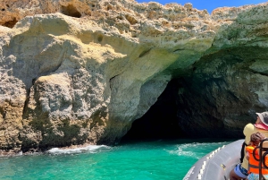 Lagoa: Benagilgrottorna och Praia da Marinha med biologguide