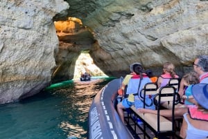 Lagoa: Benagilgrottorna och Praia da Marinha med biologguide