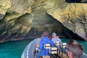Lagoa: Benagilgrottorna och Praia da Marinha med biologguide