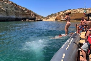 Lagoa: Benagilgrottorna och Praia da Marinha med biologguide