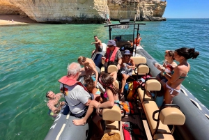 Lagoa: Benagilgrottorna och Praia da Marinha med biologguide