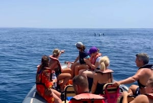 Lagoa: Delfinsafari og Benagil-tur med biologguide