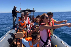 Lagoa: Delfinsafari og Benagil-tur med biologguide