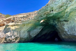 Lagoa: Delfinsafari og Benagil-tur med biologguide