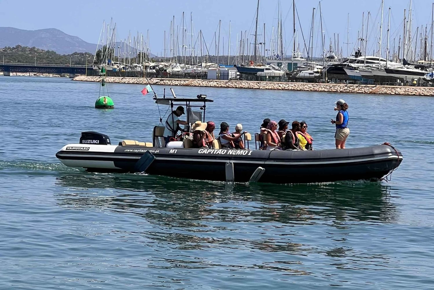 Lagoa: Delfin-Expedition mit biologischem Guide an Bord