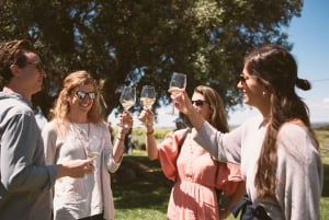 Lagoa: Passeio pelas Vinhas e Prova de Vinhos