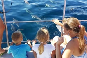 Lagos: 90-Minute Dolphin Watching by Catamaran