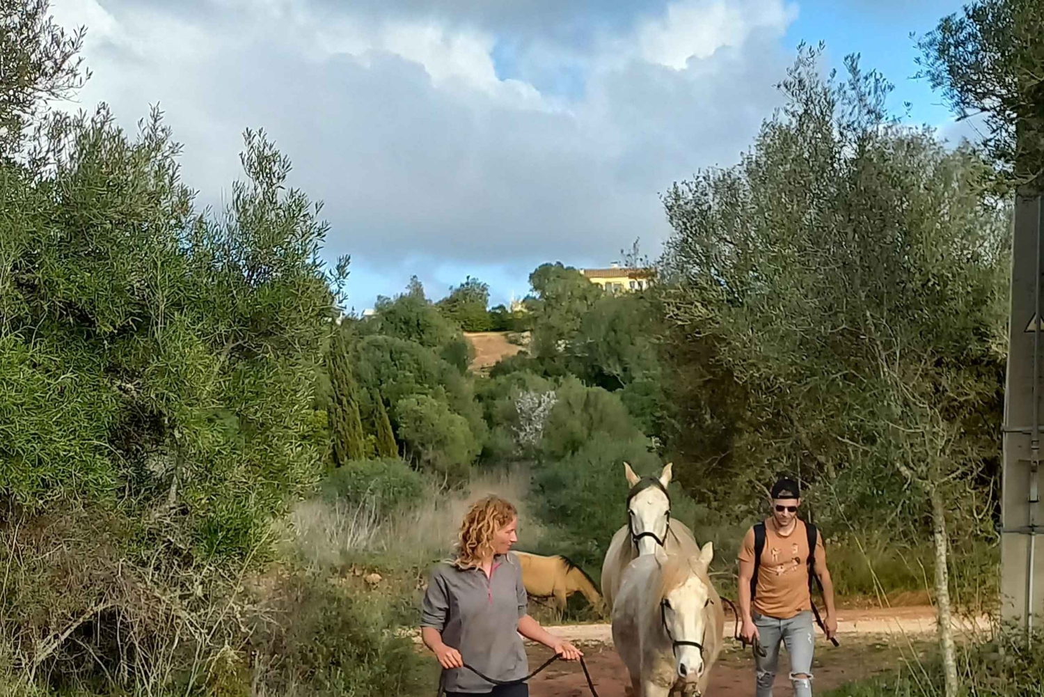 Lagos: En spasertur med en reddet hest på reservatet