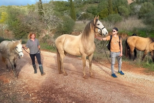 Lagos : Promenade avec un cheval sauvé au sanctuaire