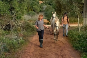 Lagos : Promenade avec un cheval sauvé au sanctuaire