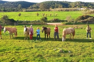 Lagos : Promenade avec un cheval sauvé au sanctuaire