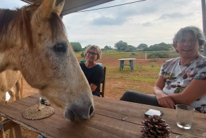 Lagos : Promenade avec un cheval sauvé au sanctuaire