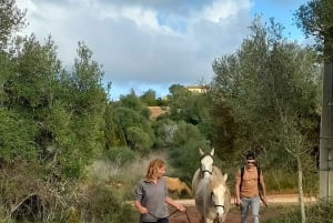 Lagos: En spasertur med en reddet hest på reservatet