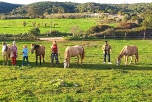 Lagos: En spasertur med en reddet hest på reservatet