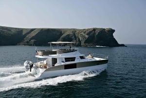 Lagos: Algarve Coast Catamaran Cruise Sightseeing
