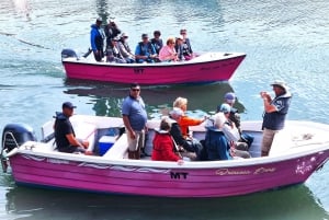 Lagos-Algarve: Grotto Trip - Boat Trip Late afternoon