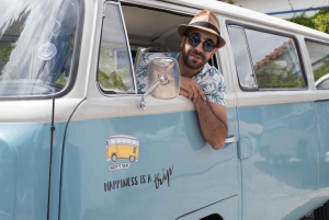 Lagos: Algarve Organic Wine Tour in a Volkswagen T2 Van