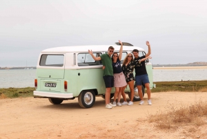 Lagos: Algarve Organic Wine Tour in a Volkswagen T2 Van