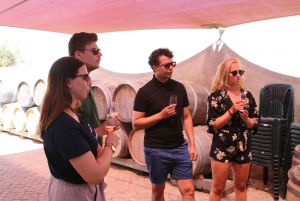 Lagos: Algarve Organic Wine Tour in a Volkswagen T2 Van