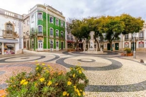 Lagos and Cabo São Vicente Guided Tour