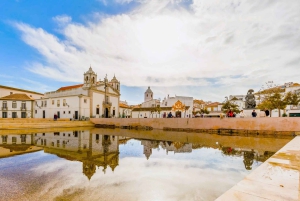 Lagos and Cabo São Vicente Guided Tour