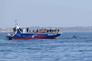 Lagos: Dolphin & Benagil Tour with Marine Biologist