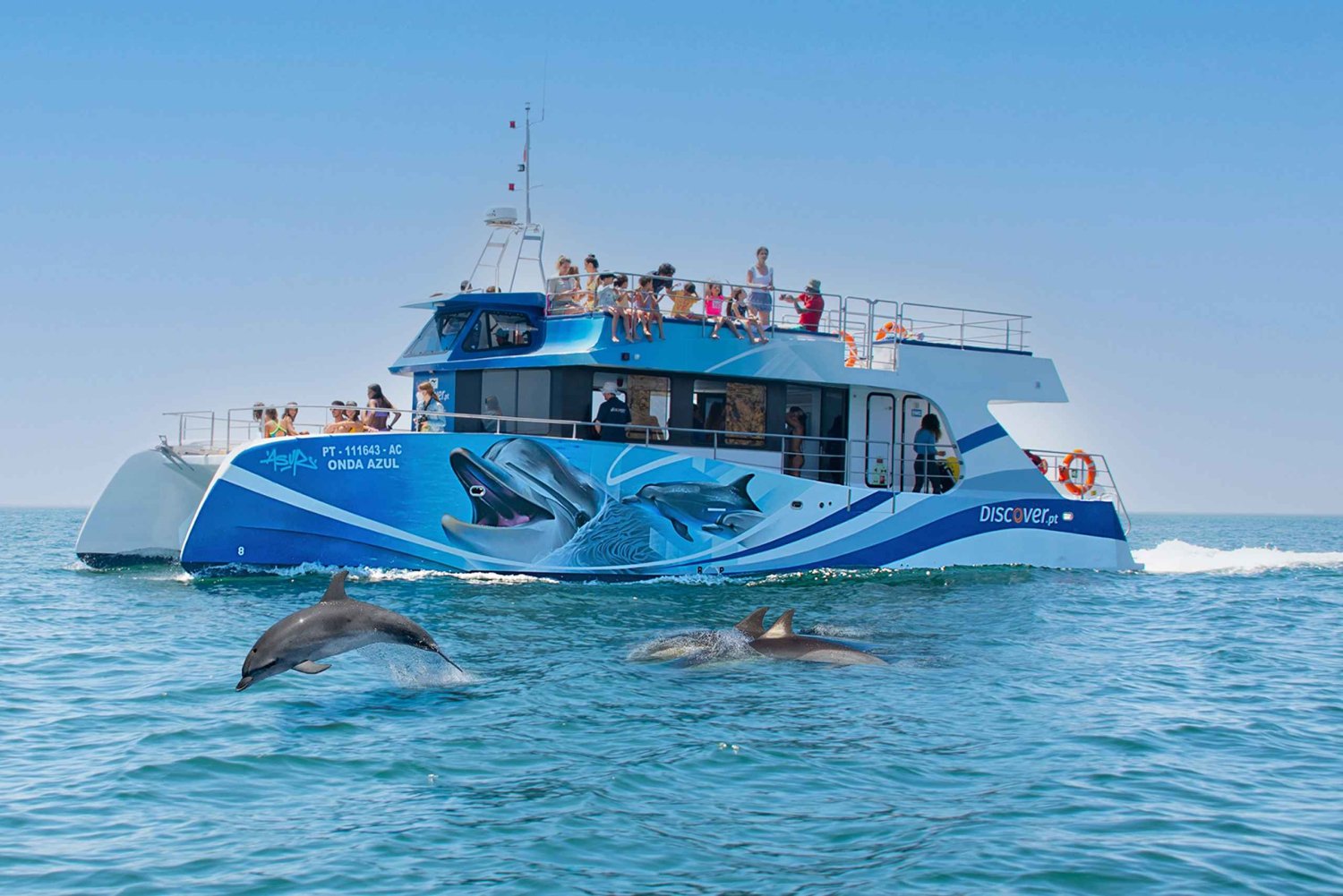 Lagos: Crucero de medio día para avistar delfines y actividades acuáticas