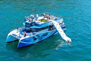 Lagos: Halvdagscruise med delfinsafari og vannaktiviteter