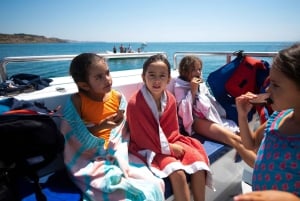 Lagos: Halvdagscruise med delfinsafari og vannaktiviteter