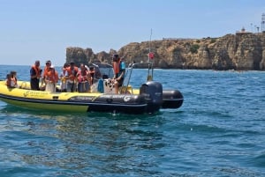 Lagos: Dolphin Watching Tour