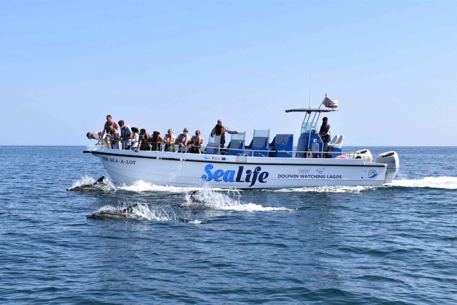 Lagos: Spot Dolphins on the Algarve with Marine Biologists