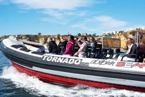 Lagos: Dolphin Watching with Professional Marine Biologists