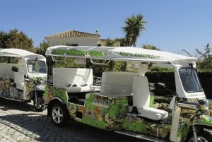 Lagos: Electric Tuk Tuk Tour with Local Guide
