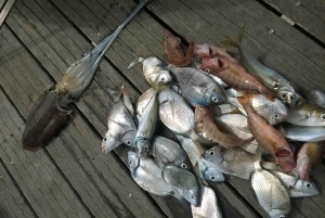 Lagos: Family Fishing Trip