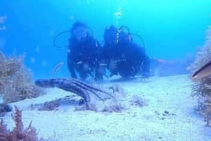 Lagos : première plongée sous-marine dans l'océan avec un moniteur