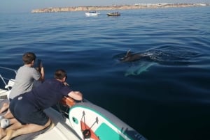 Lagos: Ganztägige private Jacht-Charter