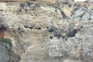 Excursão às Grutas - Lagos Ponta Piedade