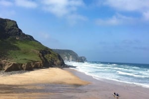 Lagos: Gruppesurfetimer for alle nivåer