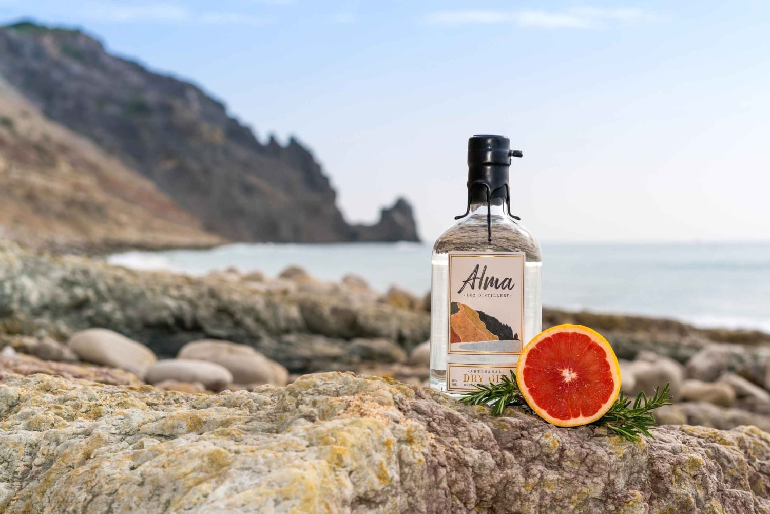 Lagos: Guided Gin Distillery Tour With Tasting at Alma Luz