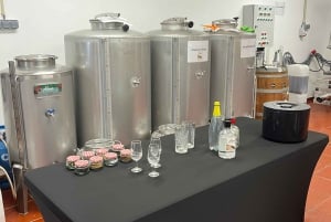 Lagos: Guided Gin Distillery Tour With Tasting at Alma Luz