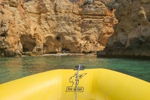 Lagos: Delfiinien katseluretki