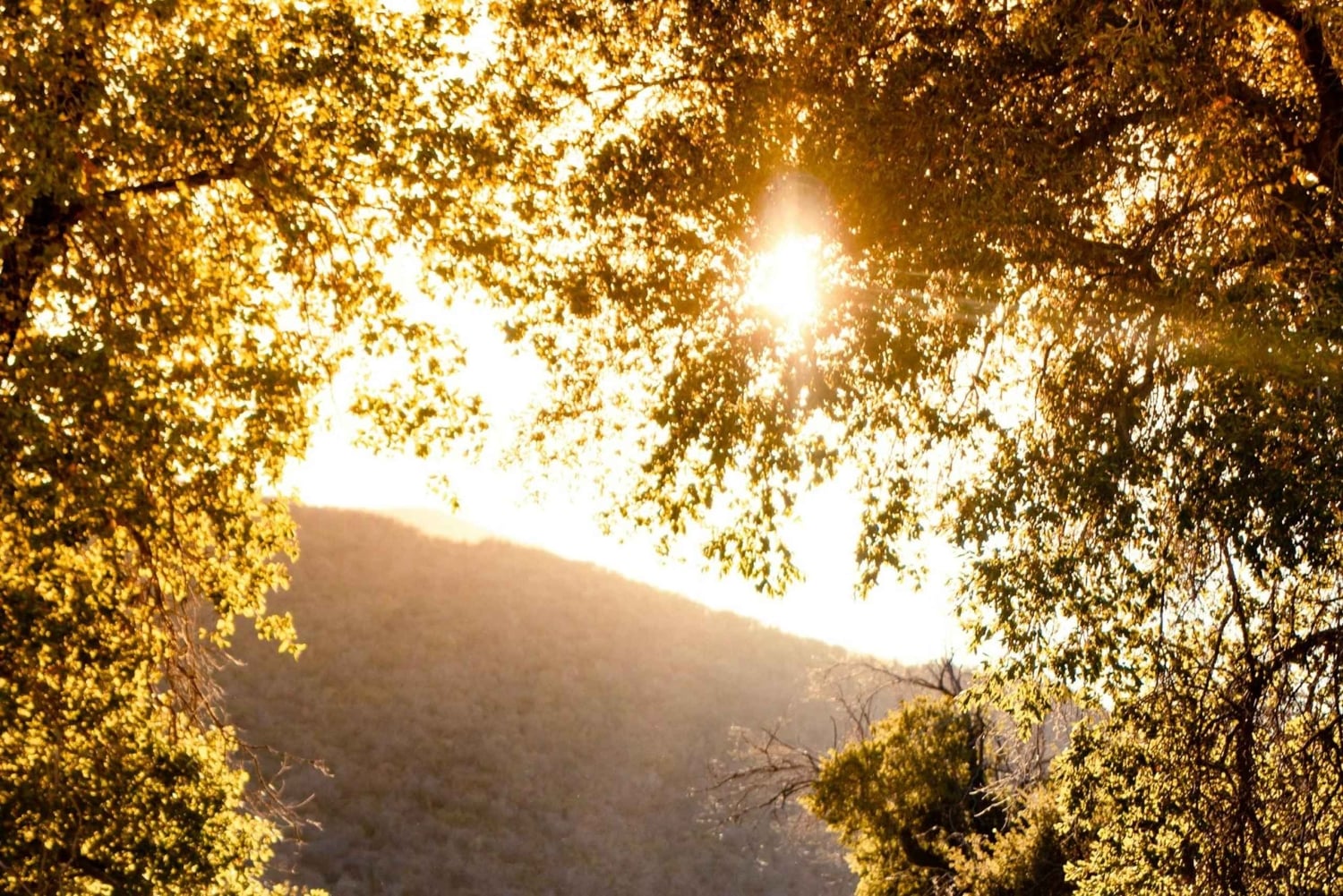 Lagos: Hidden Coast and Villages E-Bike Tour