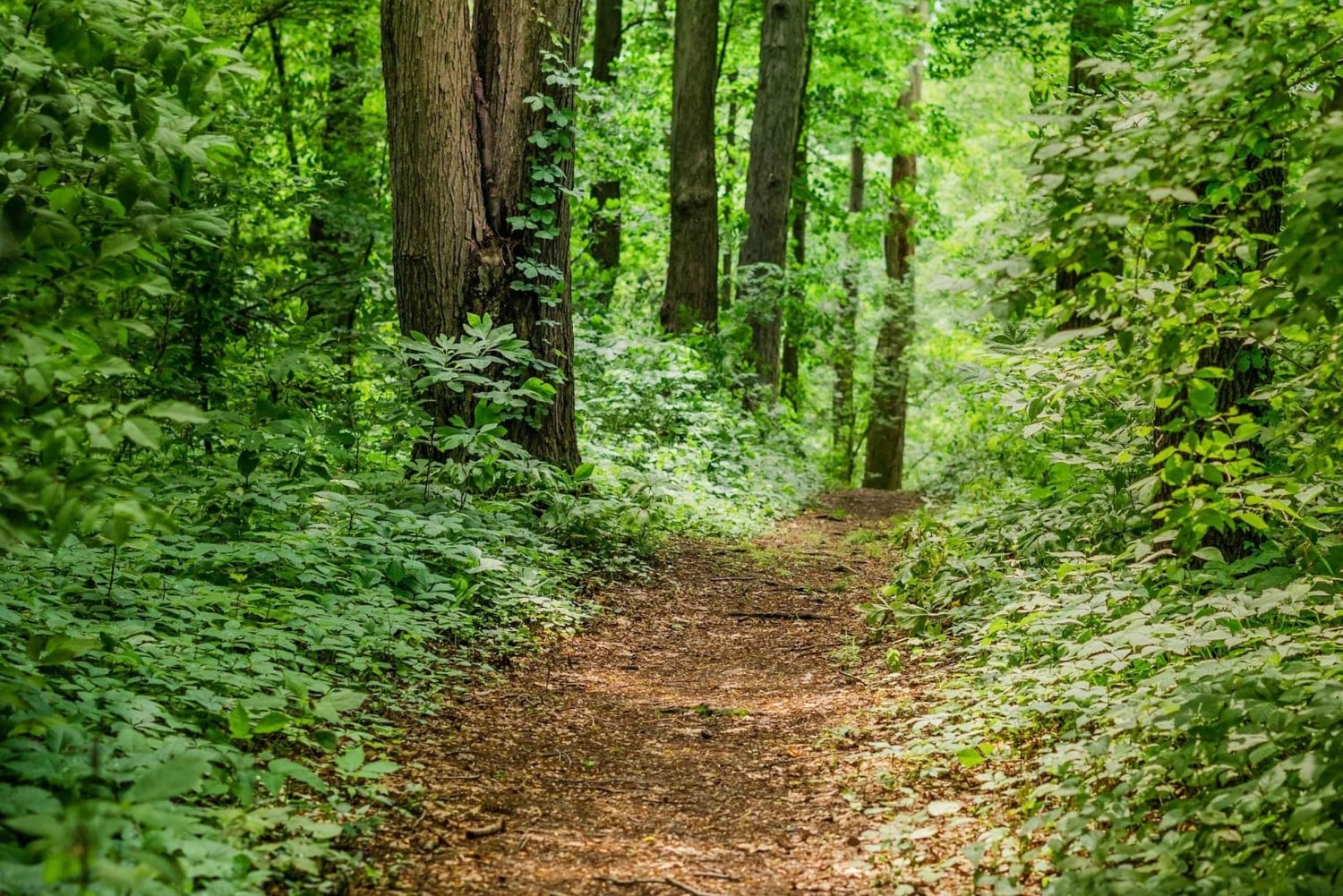 Lagos: Hidden Coast and Villages E-Bike Tour