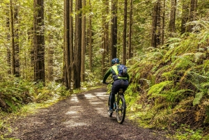 Lagos: Hidden Coast and Villages E-Bike Tour