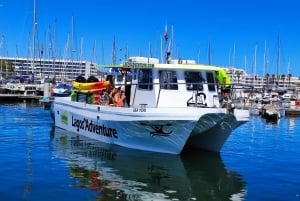 Lagos Kayak Adventure