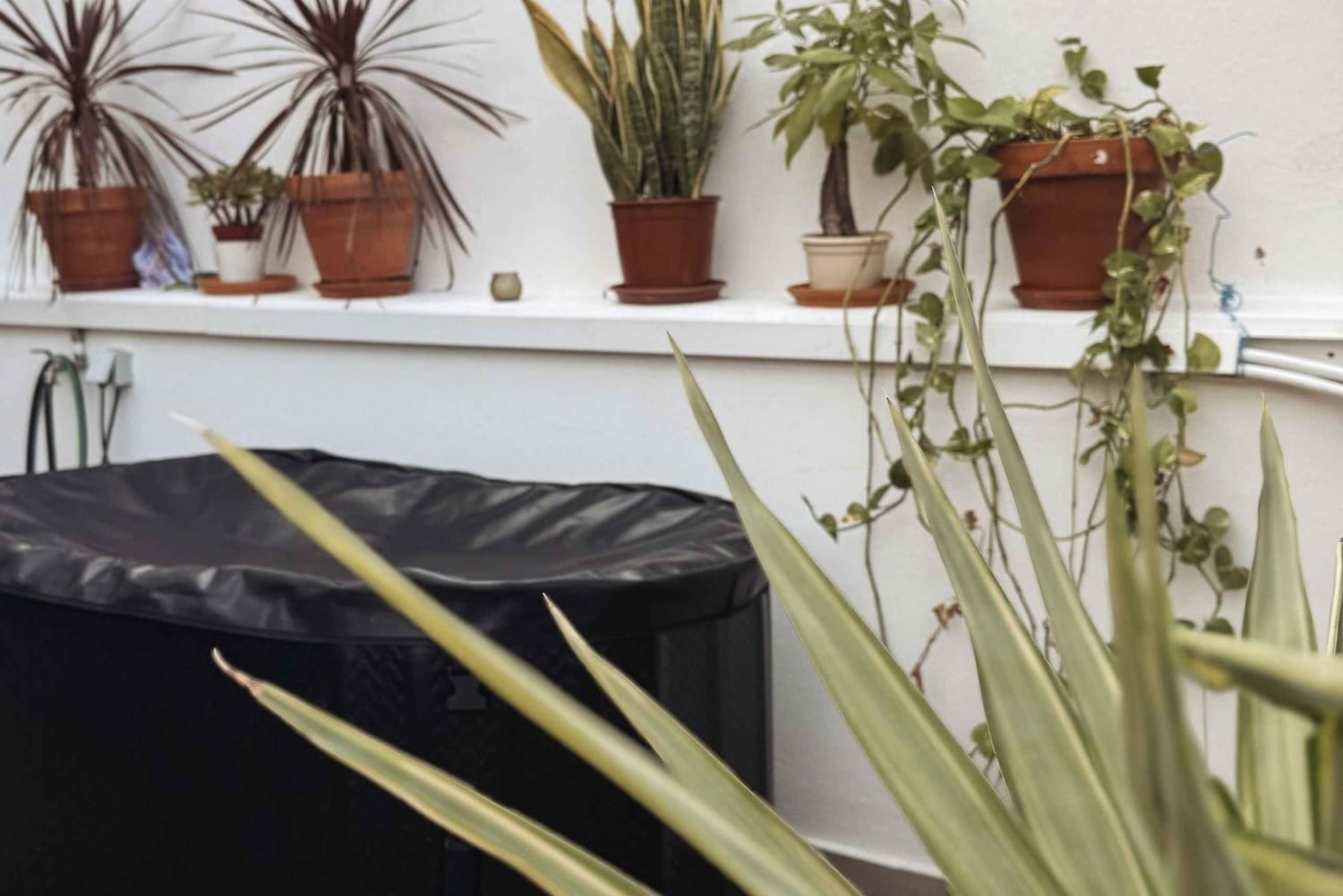 Lagos: Achtsamer Date-Abend: Kakaozeremonie, Sauna & Eisbad