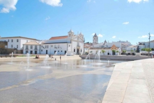 Lagos & Ponta da Piedade Car or Scooter Tour