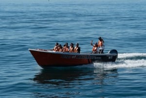 Lagos: Passeio de barco pelas grutas da Ponta da Piedade