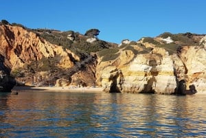 Lagos: Ponta da Piedade Coastline Tour